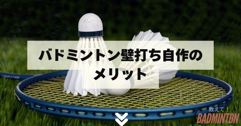 壁打ちくん エバーラケット社 バドミントン 練習 （完全ガイド 