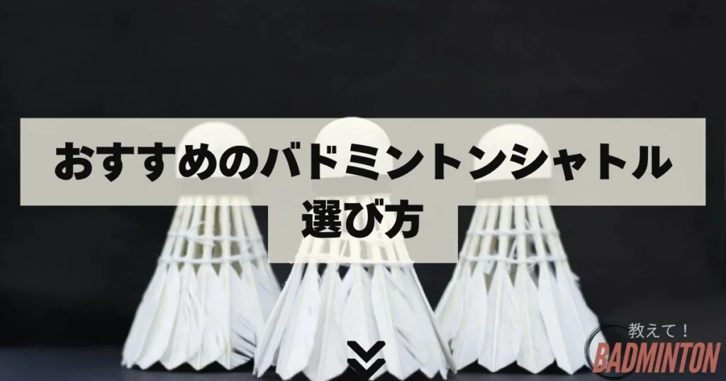 AEROSENS A500 バドミントンシャトル 12本セット①美品 NEW OFFICIAL B