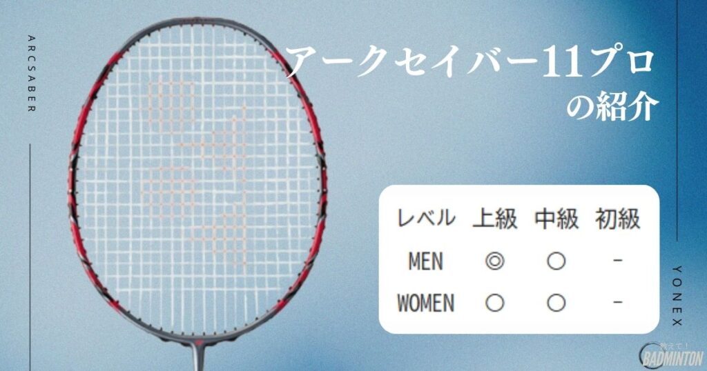 アークセイバー11プロの画像