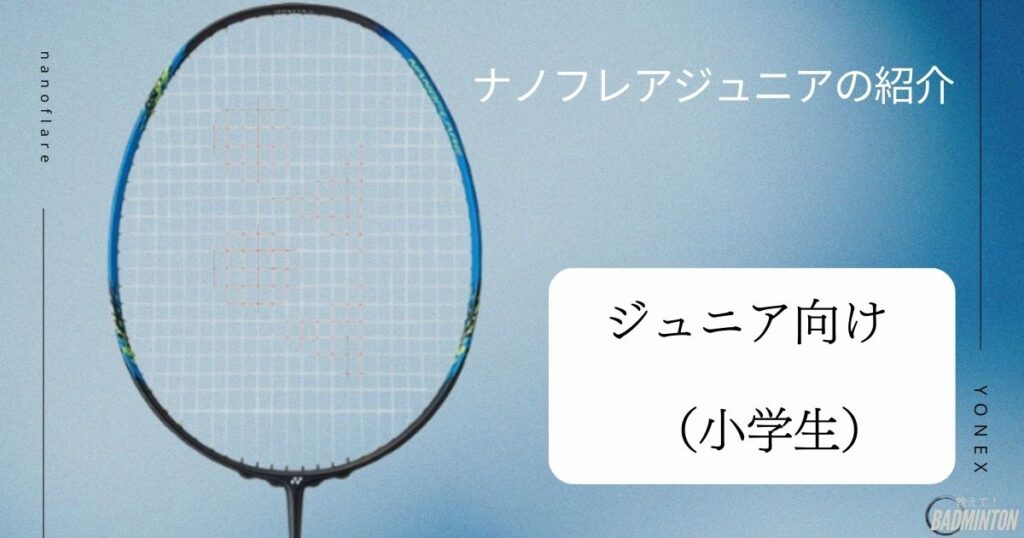 初心者におすすめ：ナノフレアジュニア