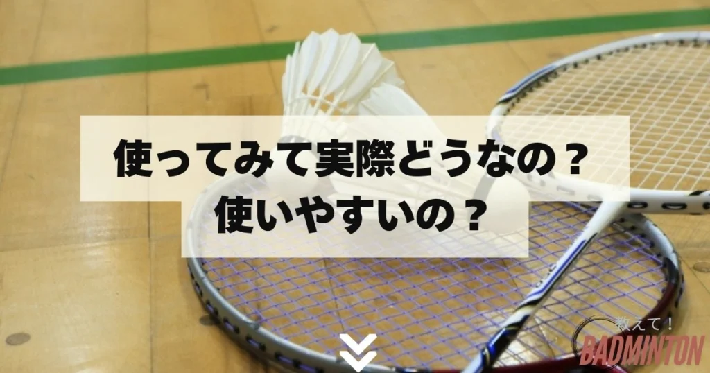 ※渡辺勇大選手使用ガット付き　アストロクス100ZX 渡辺勇大選手使用ガット付き アストロクス100ZX