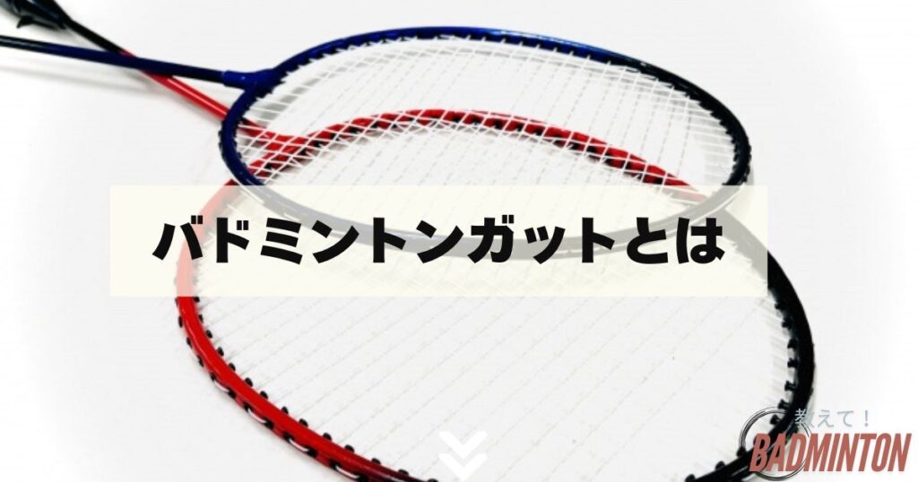 バドミントンガット（ストリング）とは