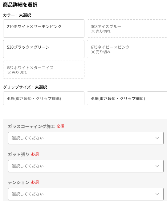 ナノフレア300購入画面