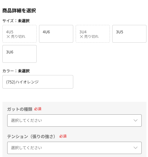 アストロクス77ツアーの購入画面