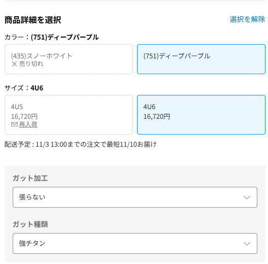 ナノフレア400購入画面