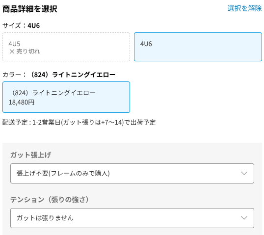ナノフレア1000ゲーム購入画面