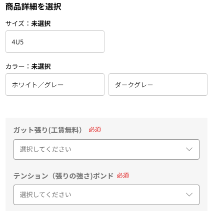 ナノフレアネクステージの購入画面