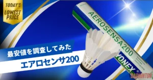 エアロセンサ300最安値は？ネットと実店舗を徹底比較してみた