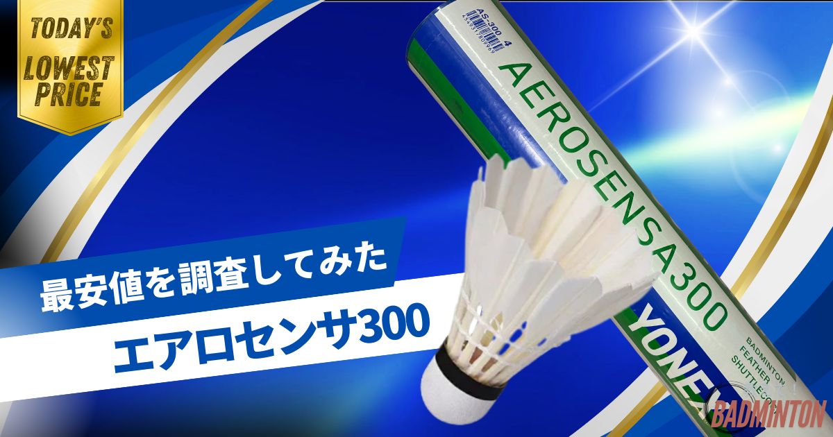 毎日更新】エアロセンサ300最安値はここ！ネットと実店舗を徹底比較