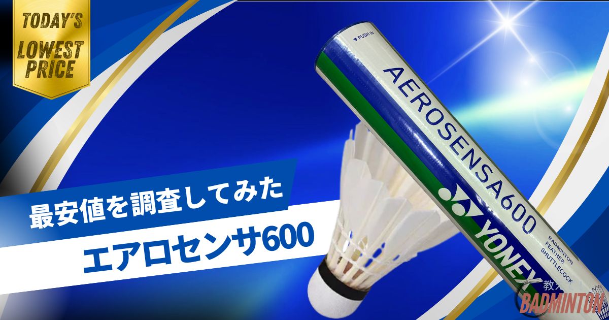 毎日更新】エアロセンサ600最安値はここ！ネットと実店舗を徹底比較
