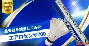 毎日更新】エアロセンサ500最安値はここ！ネットと実店舗を徹底比較し