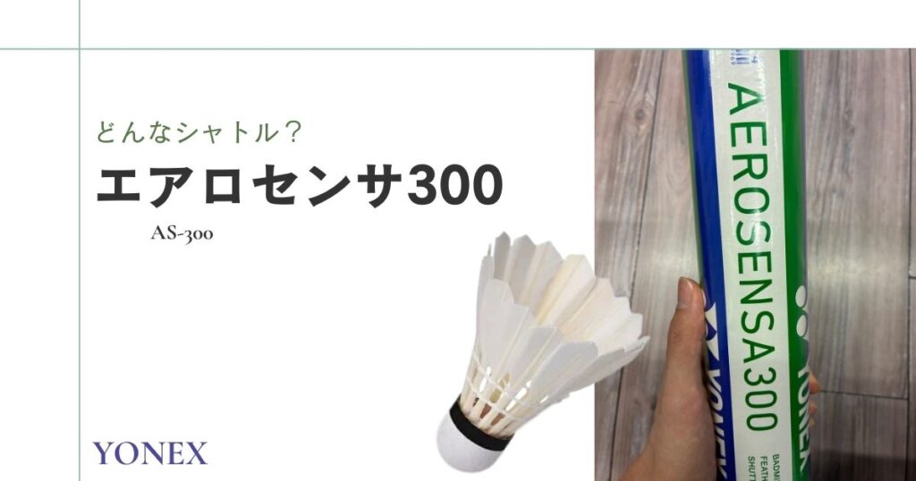 エアロセンサ300とは？