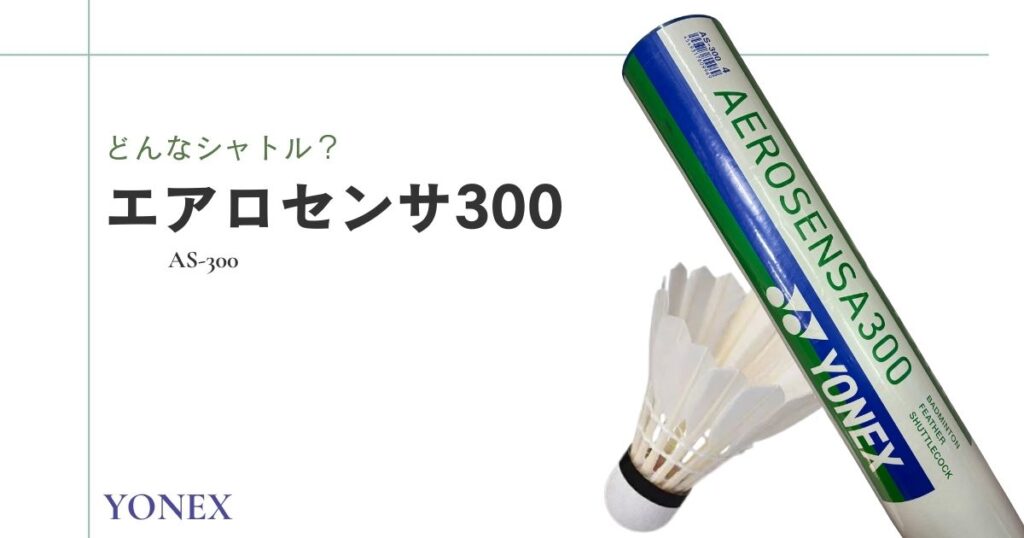 エアロセンサ300とは？