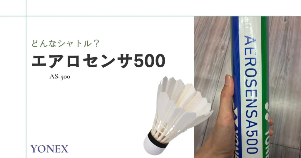 毎日更新】エアロセンサ500最安値はここ！ネットと実店舗を徹底比較し