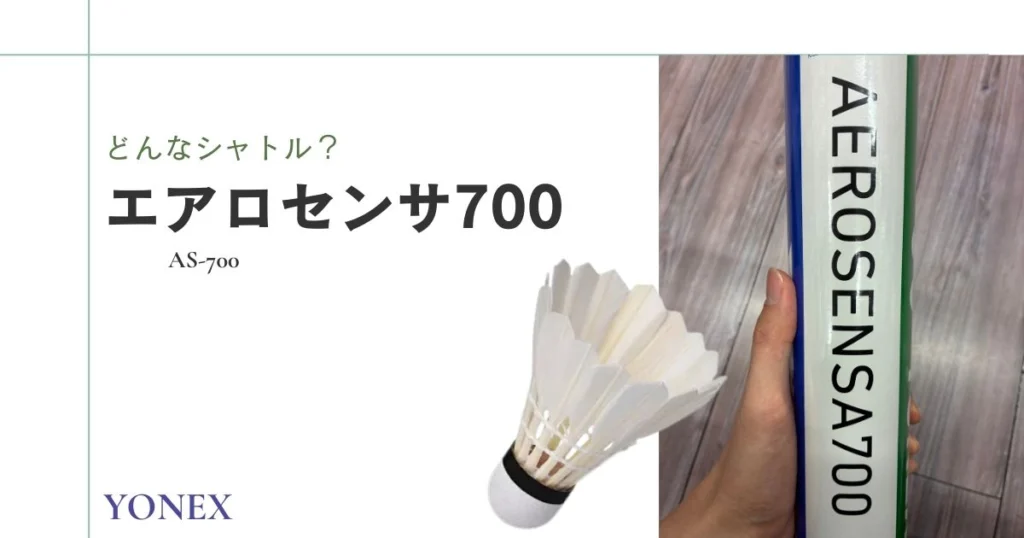 毎日更新】エアロセンサ700最安値はここ！ネットと実店舗を徹底比較し