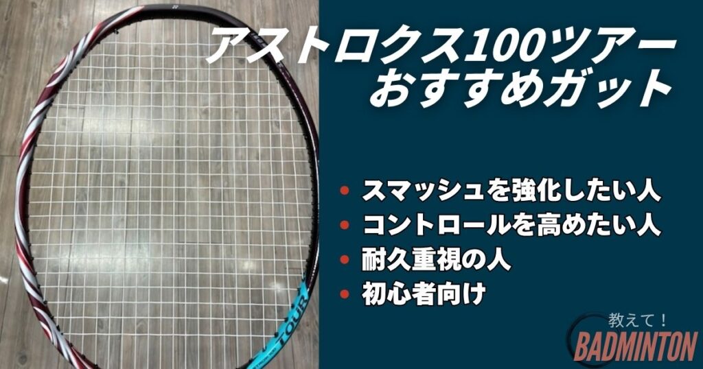 【プレースタイル別】アストロクス100ツアーおすすめガット7選