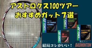 アストロクス100ツアーおすすめガット7選！目的別完全ガイド【保存版】